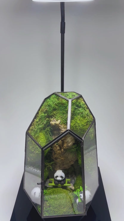 Panda Forest Preserved Moss Terrarium Home Decor Centerpiece