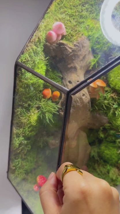 Molly the Reshi Picker Preserved Moss Terrarium Home Decor Centerpiece