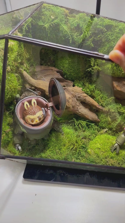 Labubu Ma.k. Robots in Forest Preserved Moss Terrarium
